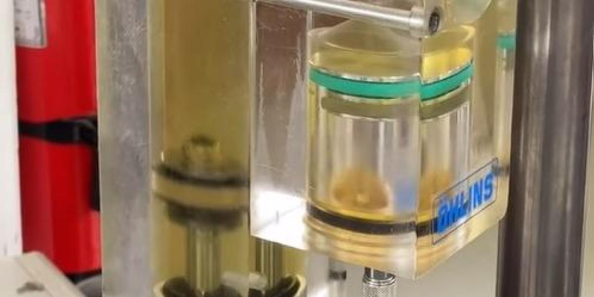 ¿Cómo funciona una suspensión? La mejor respuesta te la da este modelo transparente