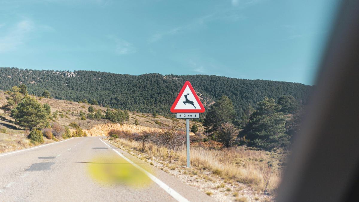 uno de cada tres accidentes de tráfico tienen este inesperado elemento común