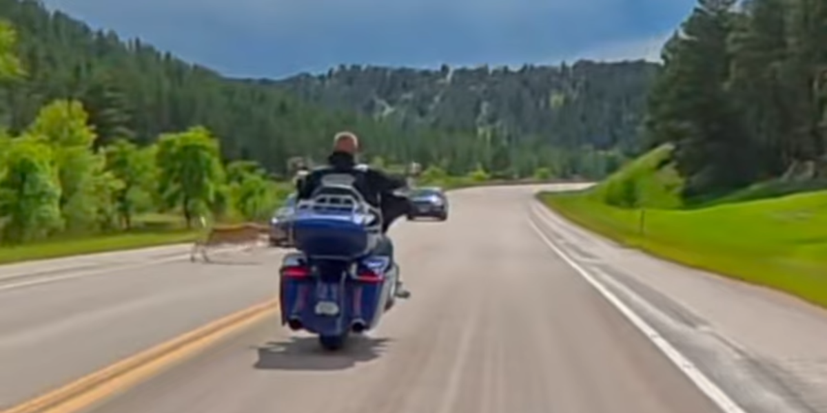 No vas a creer lo que le pasó a este motero cuando un ciervo decidió jugar a la ruleta rusa en Wyoming