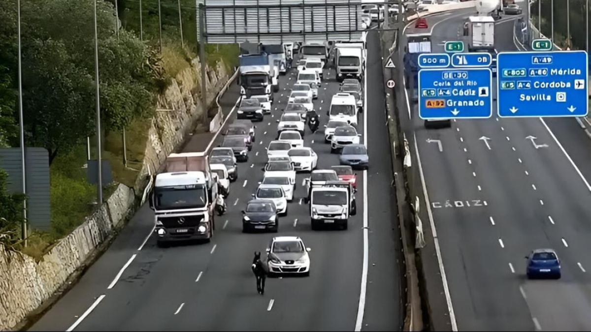 El motivo por el que la DGT ha dado luz verde a circular por el arcén de esta autopista: habilitados tres kilómetros