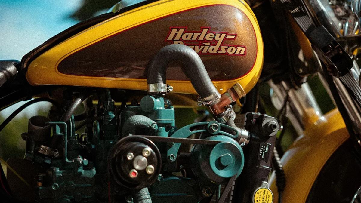 la bonita historia detrás de esta creación fascinante