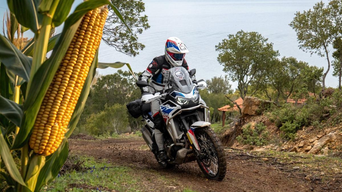 Qué tienen en común una moto Honda y una mazorca de maíz, pues un nuevo supermaterial con mejores propiedades
