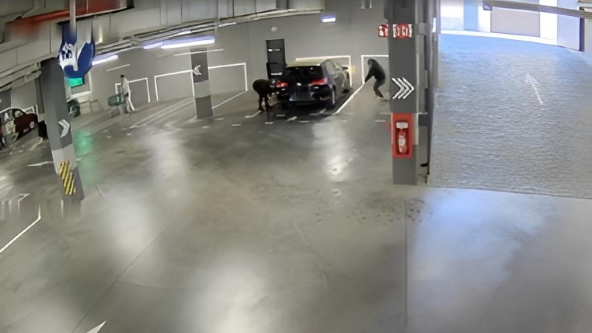 ¿en qué consiste y cómo evitarlo?