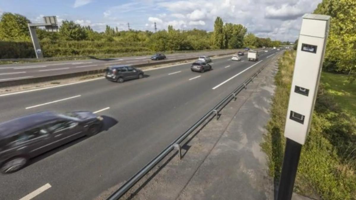 fuertes multas, penas de cárcel y antecedentes penales