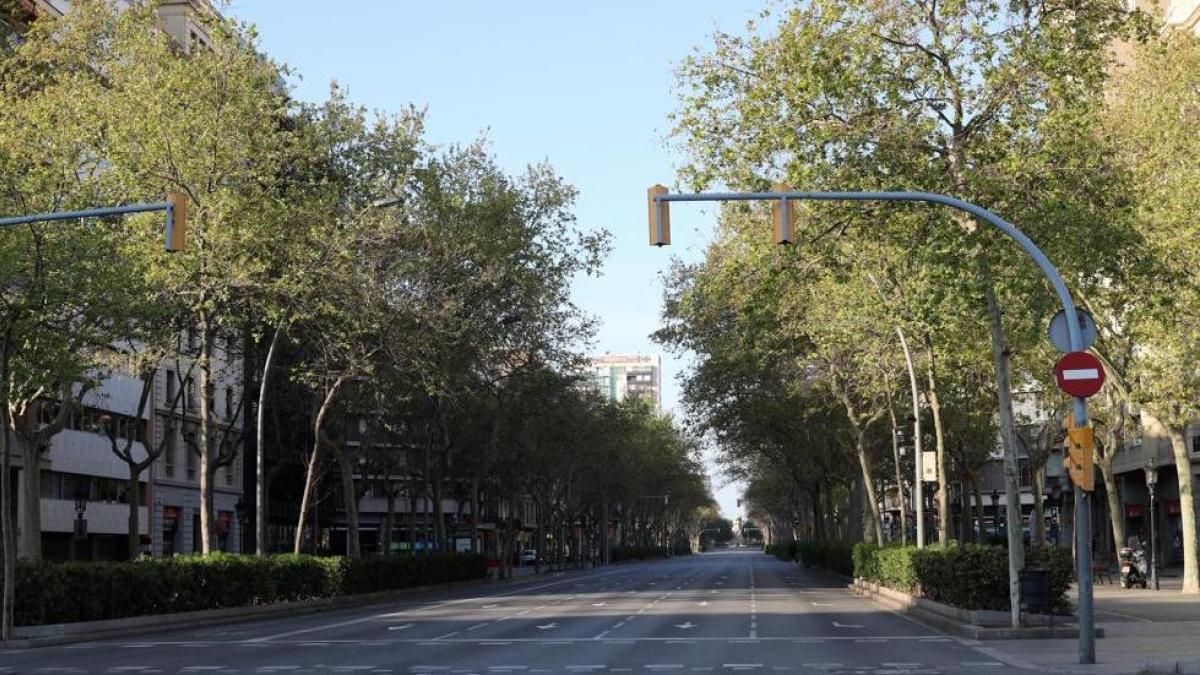 concentran 260 siniestros con heridos en el último año