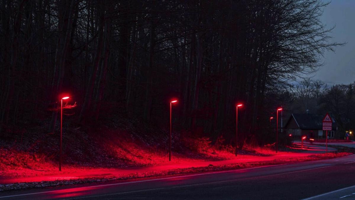 Ni luz blanca ni naranja, la mejor iluminación es la luz roja, aunque para los murciélagos, algo que no veremos en la ciudad